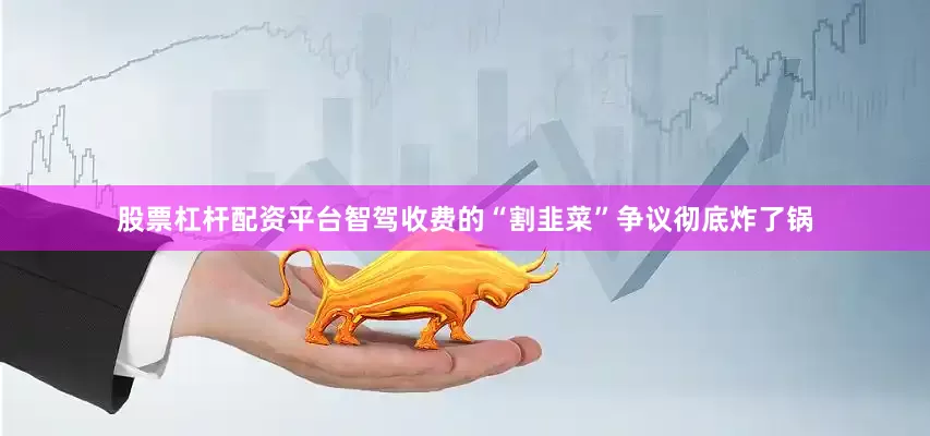 股票杠杆配资平台智驾收费的“割韭菜”争议彻底炸了锅