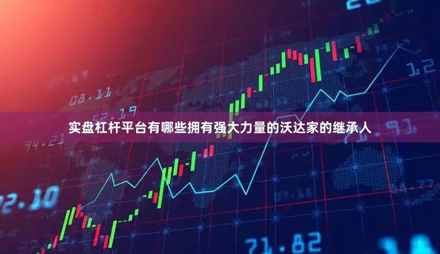 实盘杠杆平台有哪些拥有强大力量的沃达家的继承人